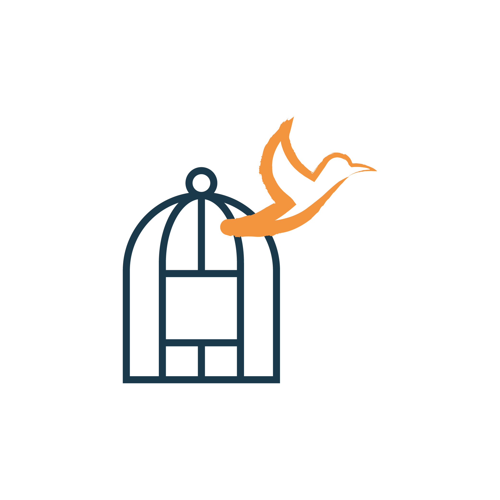 libertÉ oiseau voler